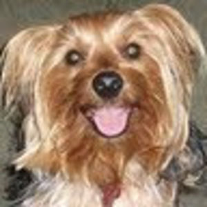 Meet your Posher, Sherry